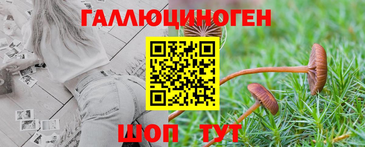 Псилоцибиновые грибы Magic Shrooms  Вход с VPN  Гагарин 