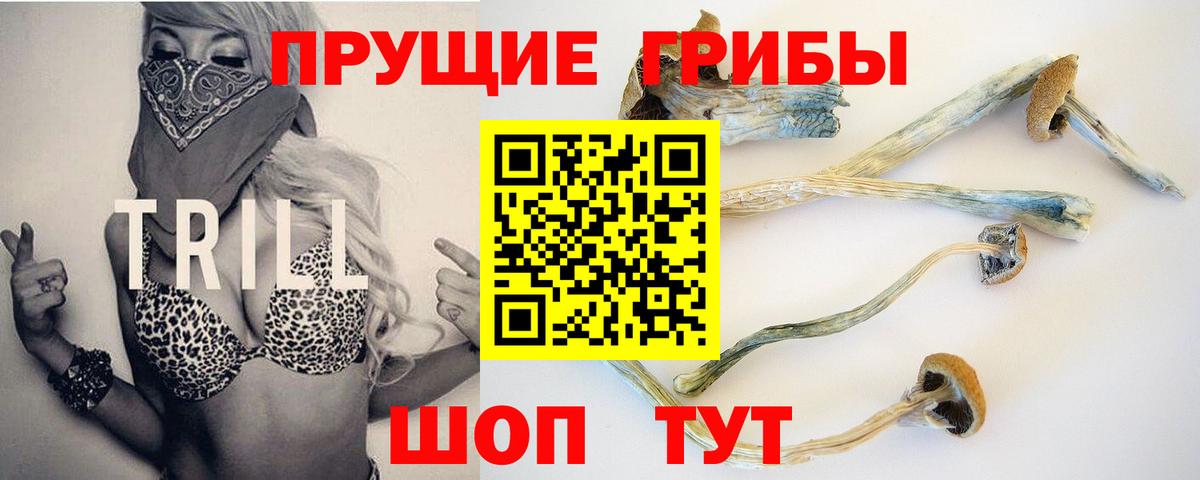 Псилоцибиновые грибы GOLDEN TEACHER Гагарин